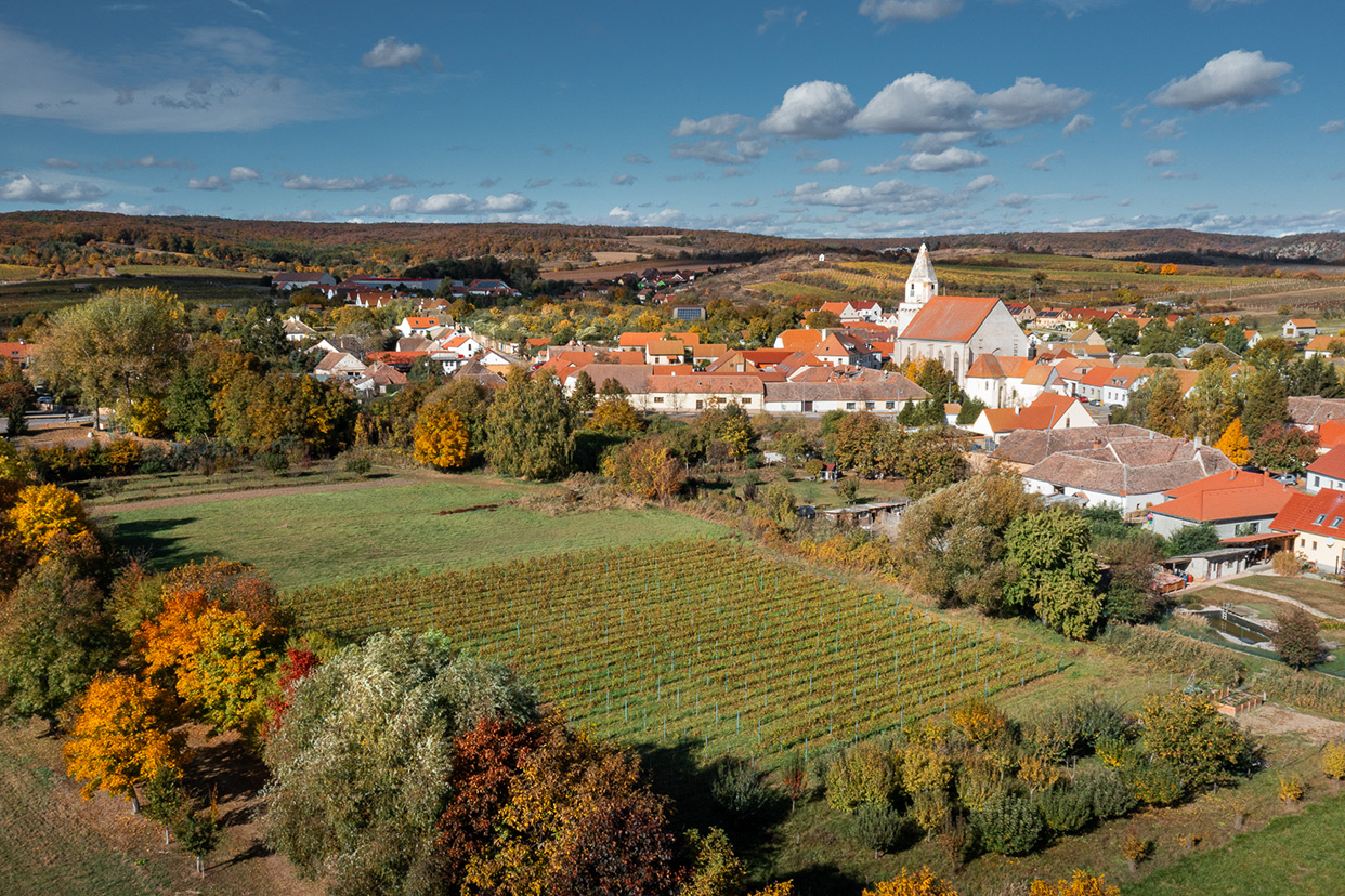 Vinařství