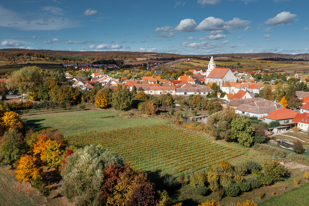 Vinařství